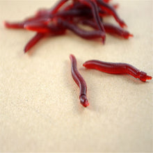 Load image into Gallery viewer, Soft Bait Earthworm