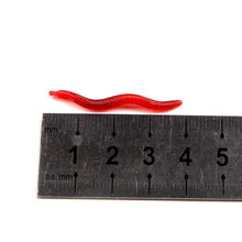 Load image into Gallery viewer, Soft Bait Earthworm