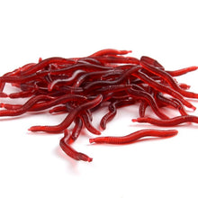 Load image into Gallery viewer, Soft Bait Earthworm